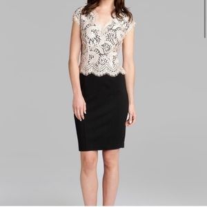 Ted Baker London Scallop Lace Bodice Pencil Dress